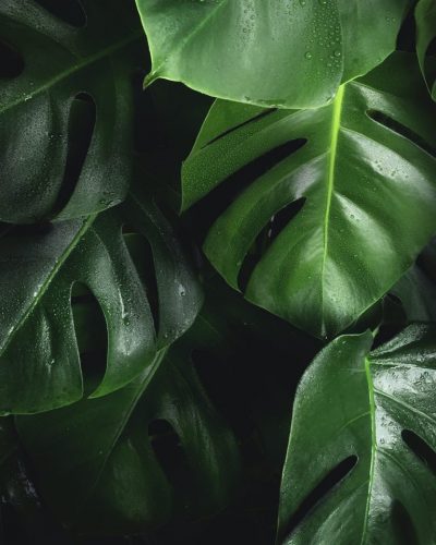 bart-zimny-W5XTTLpk1-I-unsplash