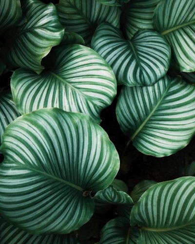 ren-ran-bBiuSdck8tU-unsplash