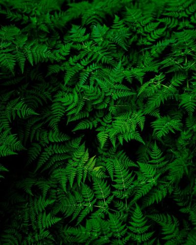 teemu-paananen-OOE4xAnBhKo-unsplash